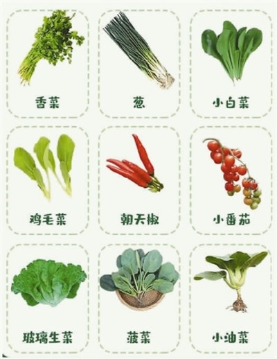图片默认标题_fororder_rmrbhwb2023020310p28_b