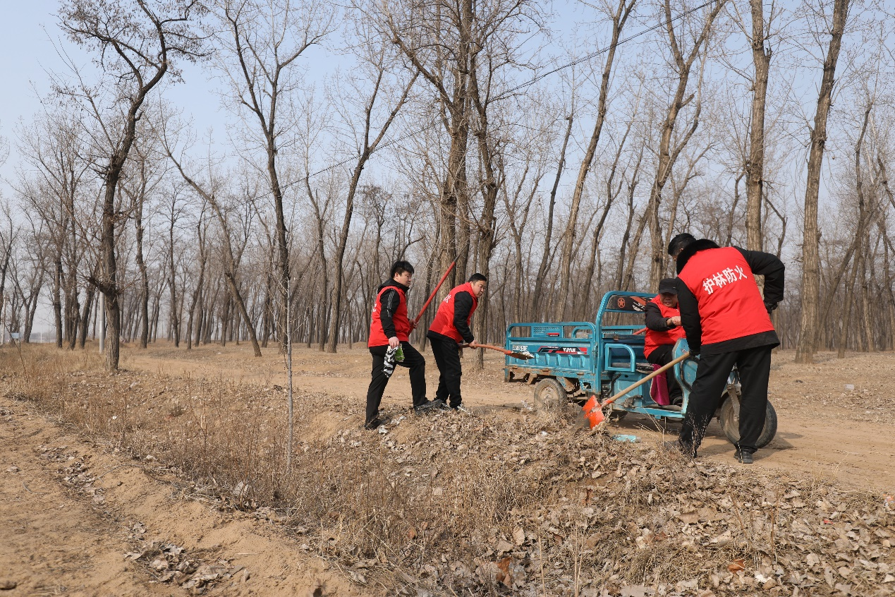 圖片默認標題_fororder_林場3