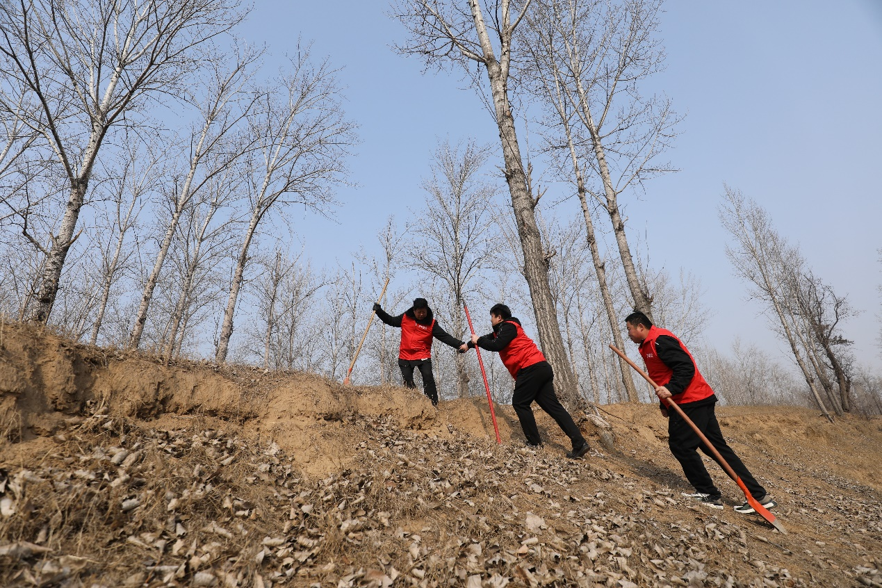 圖片默認標題_fororder_林場4