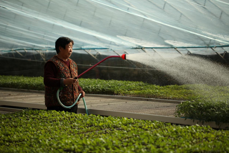 圖片默認標題_fororder_11