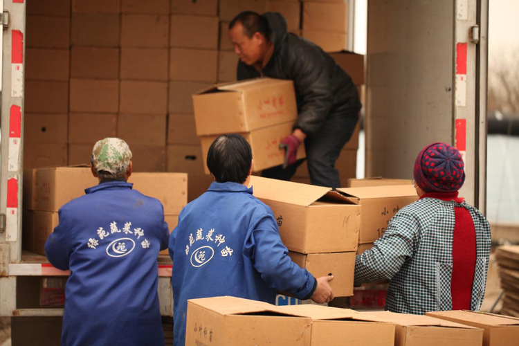 圖片默認標題_fororder_55