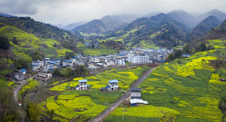 图集 | 立春时节 乐山马边万亩油菜花开_fororder_图片1