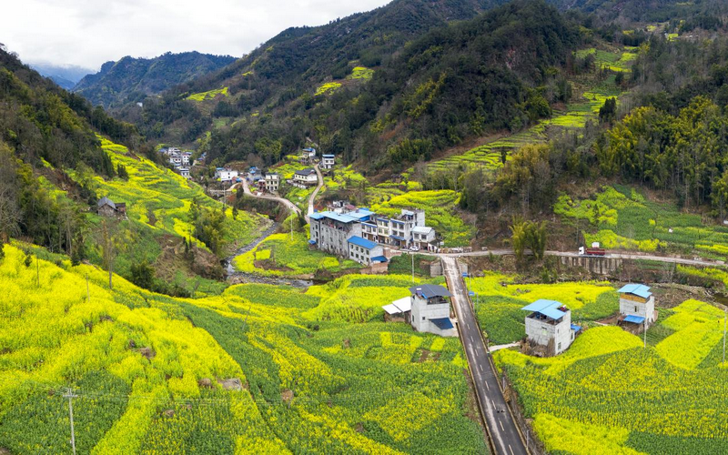 图集 | 立春时节 乐山马边万亩油菜花开_fororder_图片4