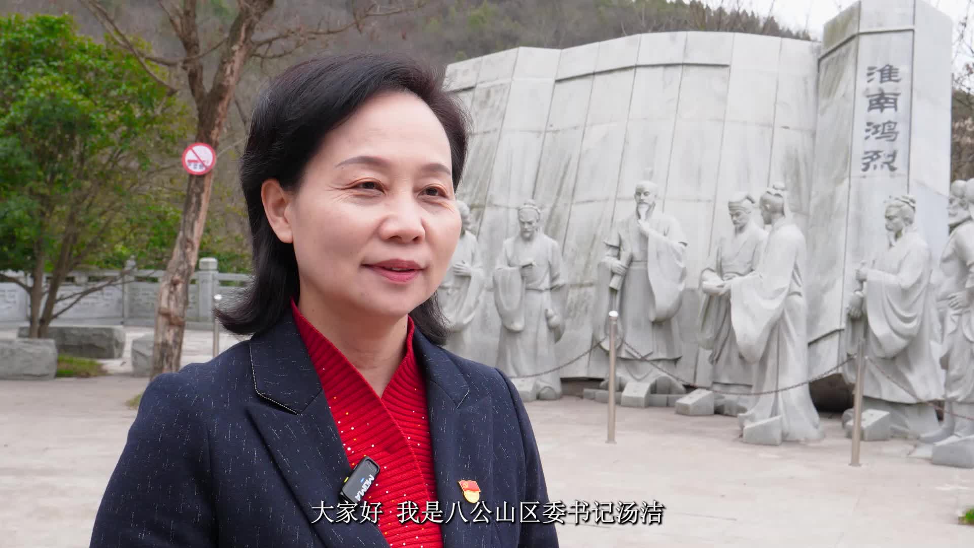 县区委书记话转型专访中共八公山区委书记汤洁