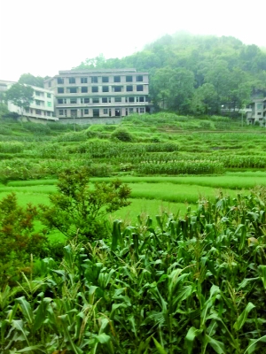 湖南村支書被指全家領低保蓋豪宅 當地紀委介入