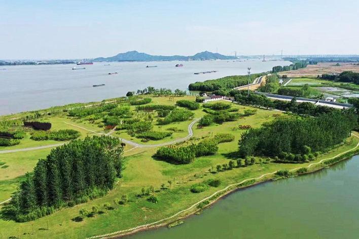 長江大保護“揚州樣本”：江豚逐浪 人與自然和諧相處