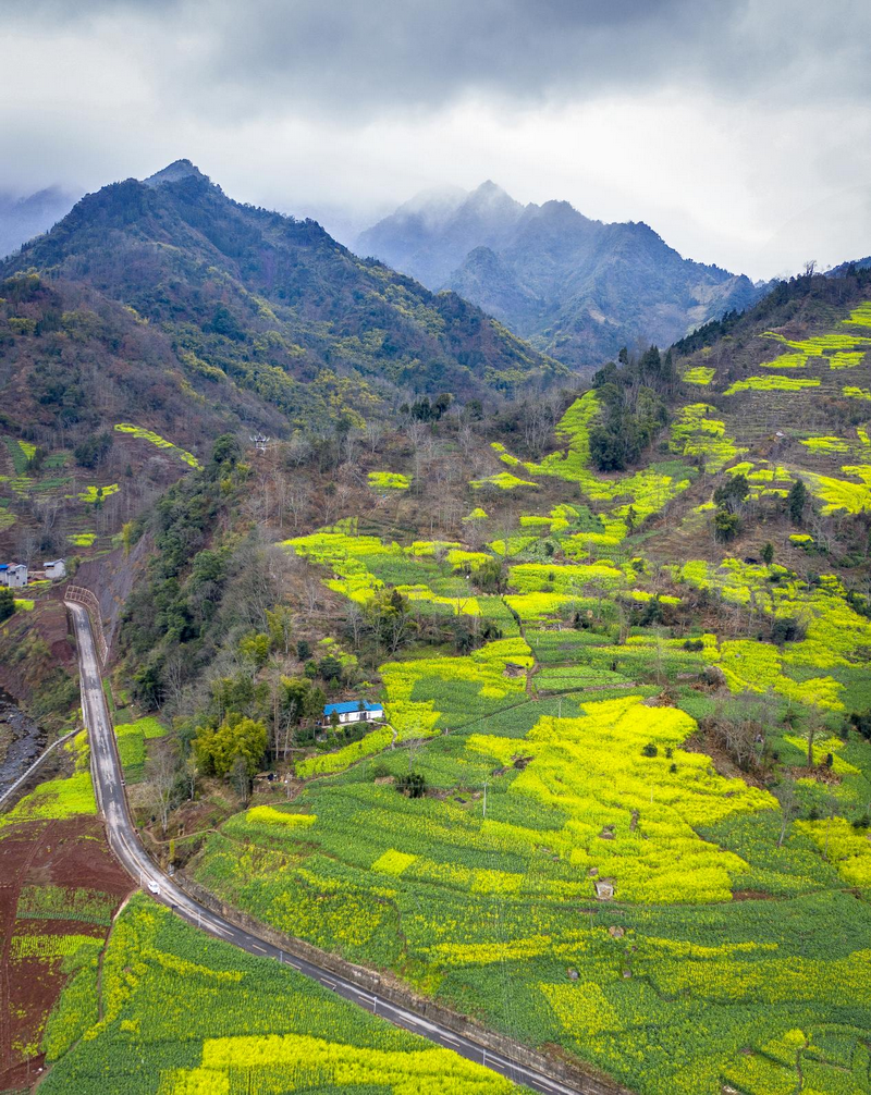 图集 | 立春时节 乐山马边万亩油菜花开_fororder_图片5