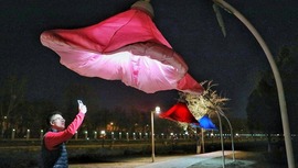 春“花”綻放 運河添彩