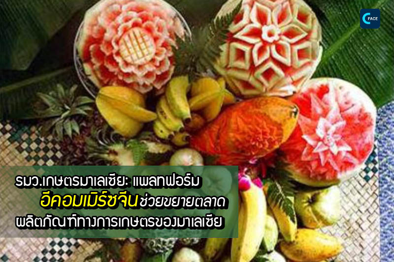 图片默认标题_fororder_2019092111