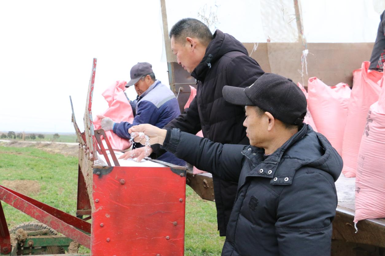 蚌埠五河：人勤春来早，田管正当时_fororder_图片1