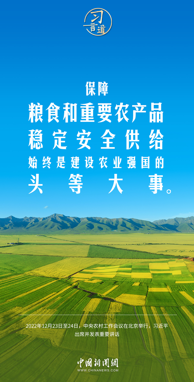 习言道强国必先强农农强方能国强