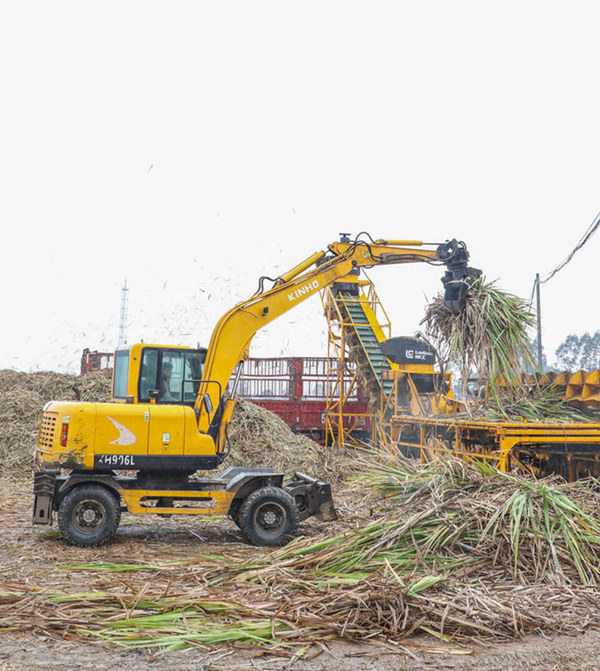 廣西來賓：科技助力春植蔗轉型升級