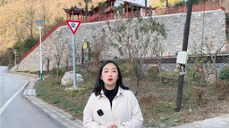 神農架林區：能人回鄉  90後愛折騰女生紮根錢家灣村