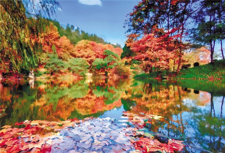 （中首）贵州：湿地公园 物种宝库_fororder_8e8f657a-55c5-43ec-80e6-1a4aa26357d9