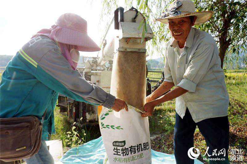 湖北十堰：喜看稻谷千重浪