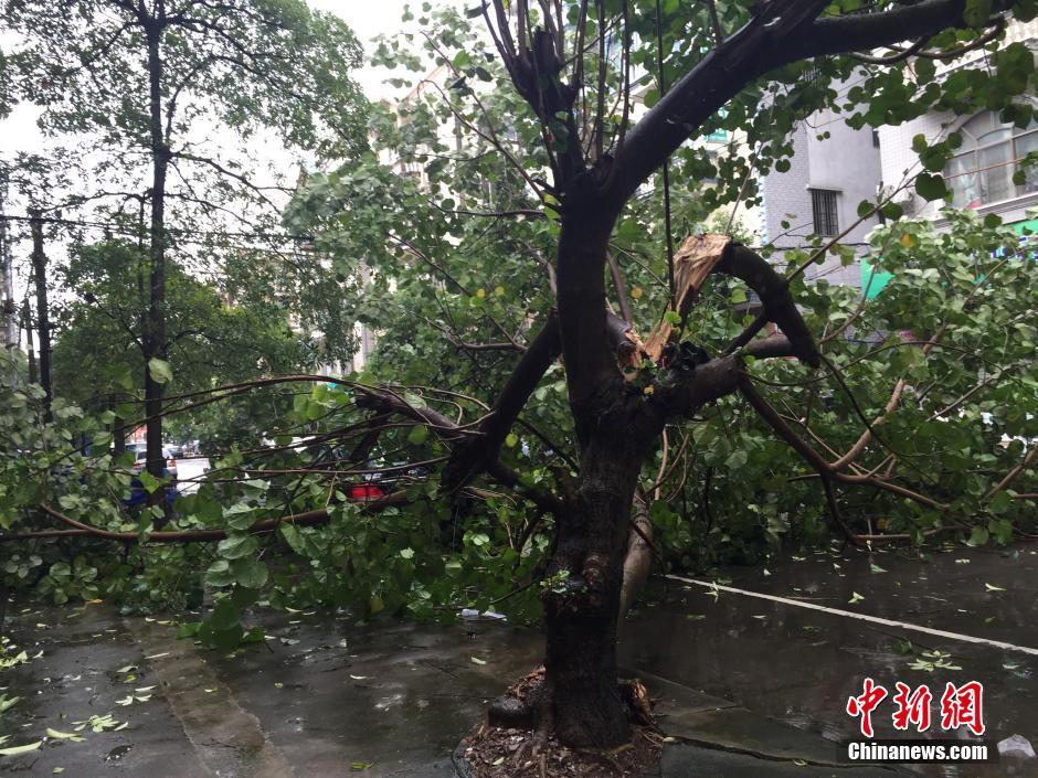 台风“电母”携暴雨袭击中越边境