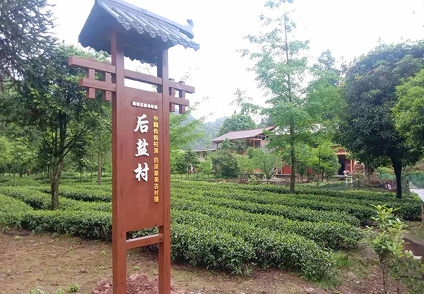 雅安雨城区：创新乡村治理模式 打造“三新”幸福乡村_fororder_后盐村-供图--雨城区委宣传部