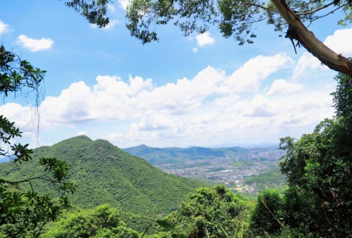 2月18日 第二届东莞观音山森林文化节活力开启