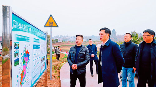 自贡市富顺县委书记杨斌调研督导乡村振兴春耕备耕等工作