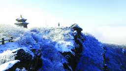 连云港：兔年首雪 宛若仙境_fororder_微信图片_20230213170413