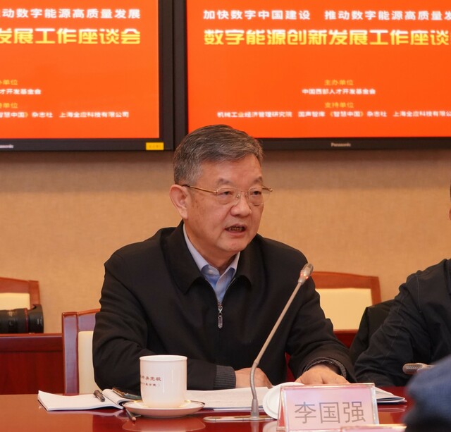 李国强：瞄准数字能源 开辟“双碳”发展新赛道