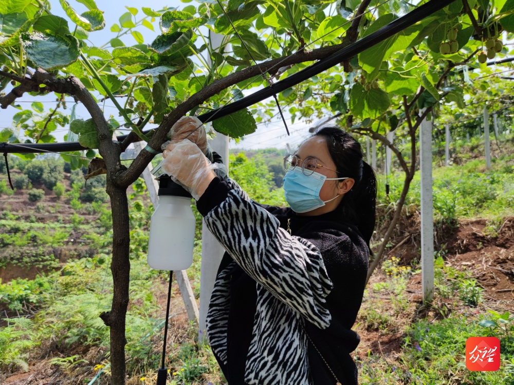 全国人大代表杨恩兰 ：心系粮食安全的“植物医生”