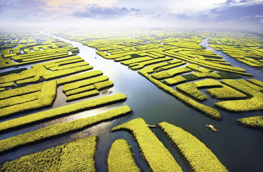 Spring in Taizhou: a City of Rivers Offering Happiness_fororder_79