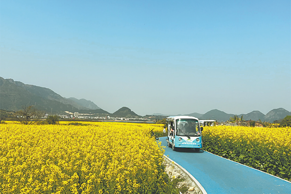 福州福清环石竹湖步道美出圈_fororder_微信图片_20230310091445