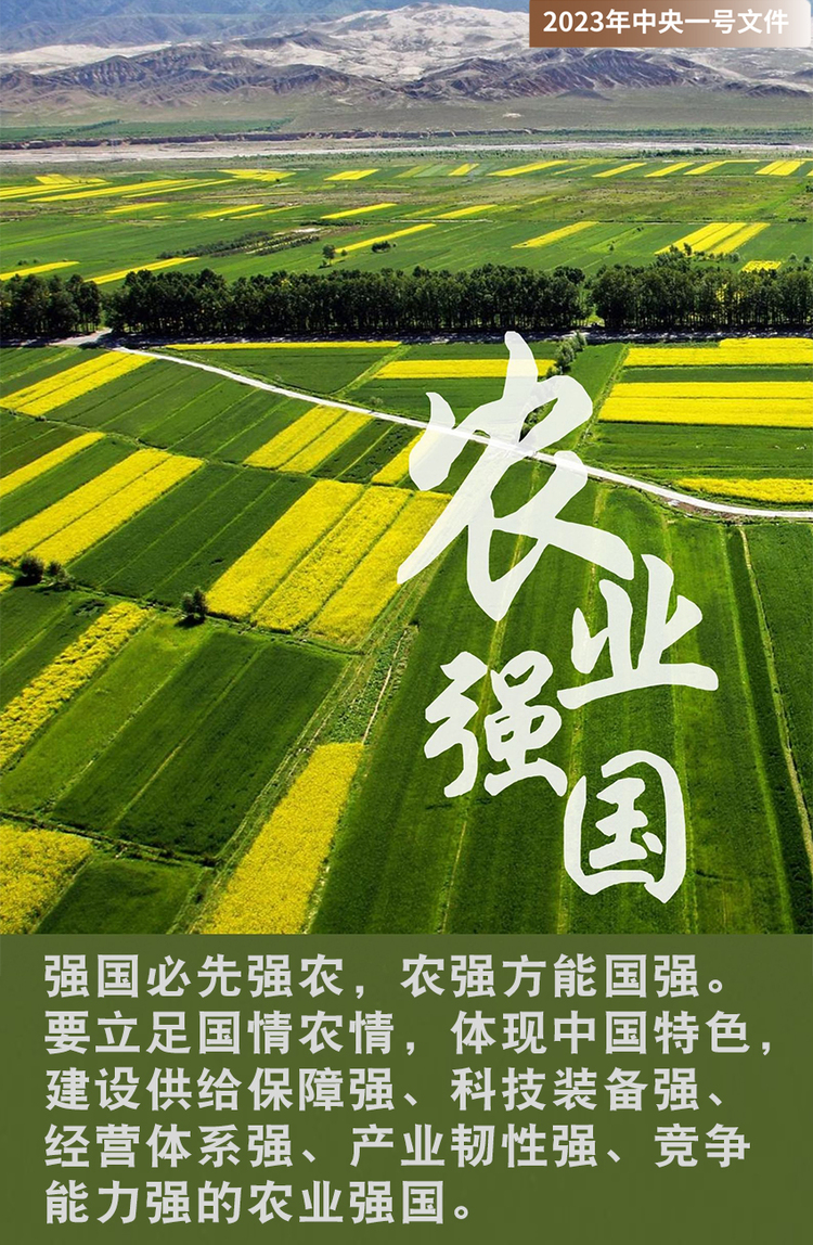 【海报】中央一号文件释放了哪些农业强国信号
