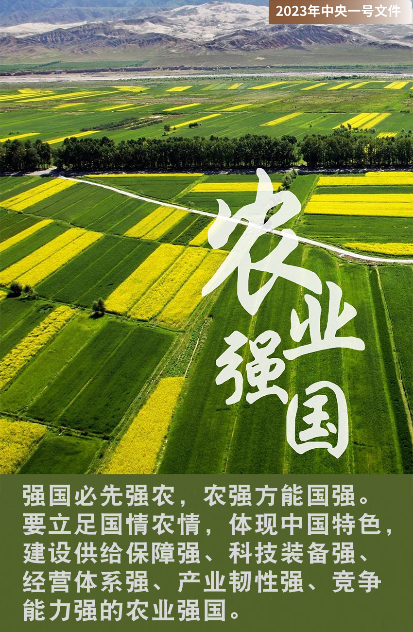 海报中央一号文件释放了哪些农业强国信号