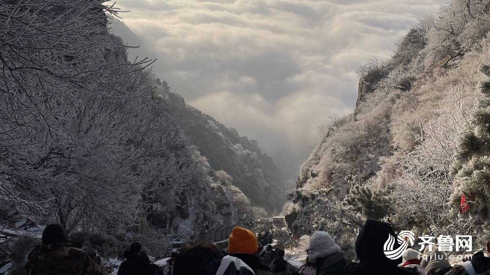 泰山雲海、日出、霧凇美景齊現，驚艷你的朋友圈！