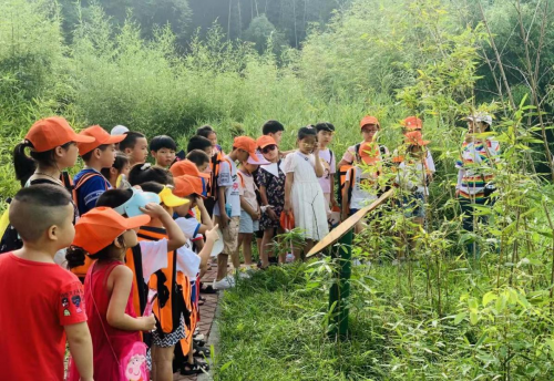 青神文旅走巴蜀 竹里萤光耀天府