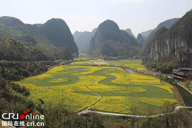 贵州安顺龙宫：遍地花开观奇景