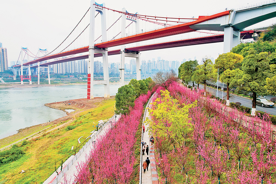 【城市远洋】重庆南岸区：江滩公园生态好