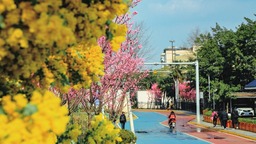 （转载）广场微更新 暖意分外浓