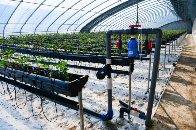 开往春天的列车| 天津：历精“耕”始 内外兼修 乡村振兴变革进行时_fororder_19