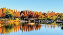 濕地公園：“有一種叫雲南的生活”