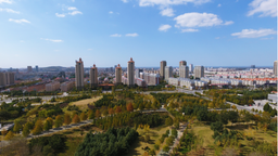 煙臺萊州：聚力打造現代化濱海公園城市