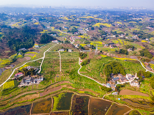 自贡市沿滩区五个村上榜成为省级乡村振兴示范村和重点帮扶优秀村