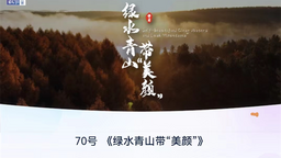 “講好中國故事”創意傳播大賽吉林省分站 長春凈月高新區三部精品佳作實現“破圈”