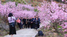 重慶奉節“鶴峰鄉第十屆桃花節暨消費幫扶季”系列活動開幕