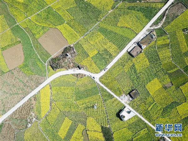 贵州：“一减一增”推进农业产业革命