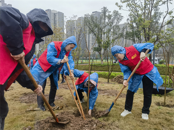 中建三局志愿者义务植树 为重庆添新绿_fororder_图片1