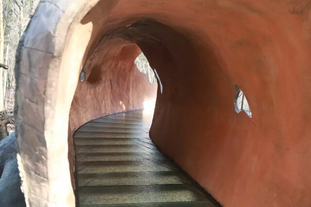 浙江桐庐首家建在森林中的大型游乐场开门迎客_fororder_微信图片_20230314154209