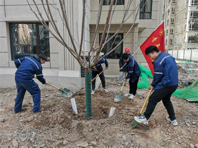 中國二冶曹家巷項目黨支部開展植樹節活動_fororder_圖片1