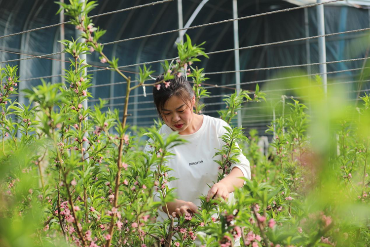 圖片默認標題_fororder_圖片12