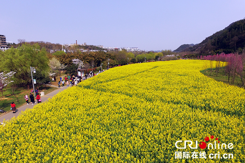 （已过审/旅游/焦点图）贵阳花溪十里河滩春意浓