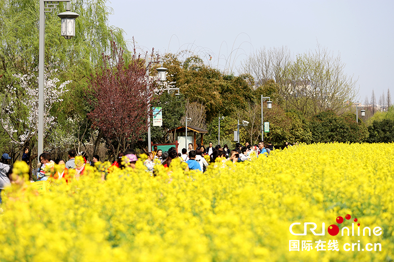 （已过审/旅游/焦点图）贵阳花溪十里河滩春意浓