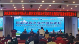 洞庭湖候鳥保護國際論壇在岳陽舉行_fororder_候鳥