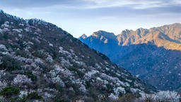 【春日“豫”新景】信陽商城：山花爛漫迎春來